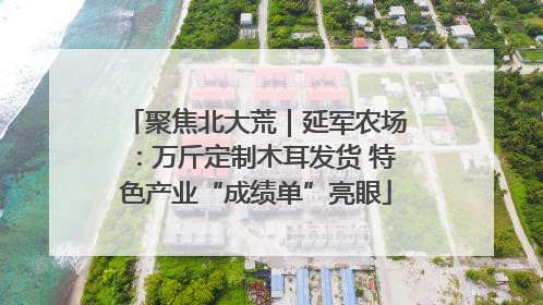 聚焦北大荒｜延军农场：万斤定制木耳发货 特色产业“成绩单”亮眼